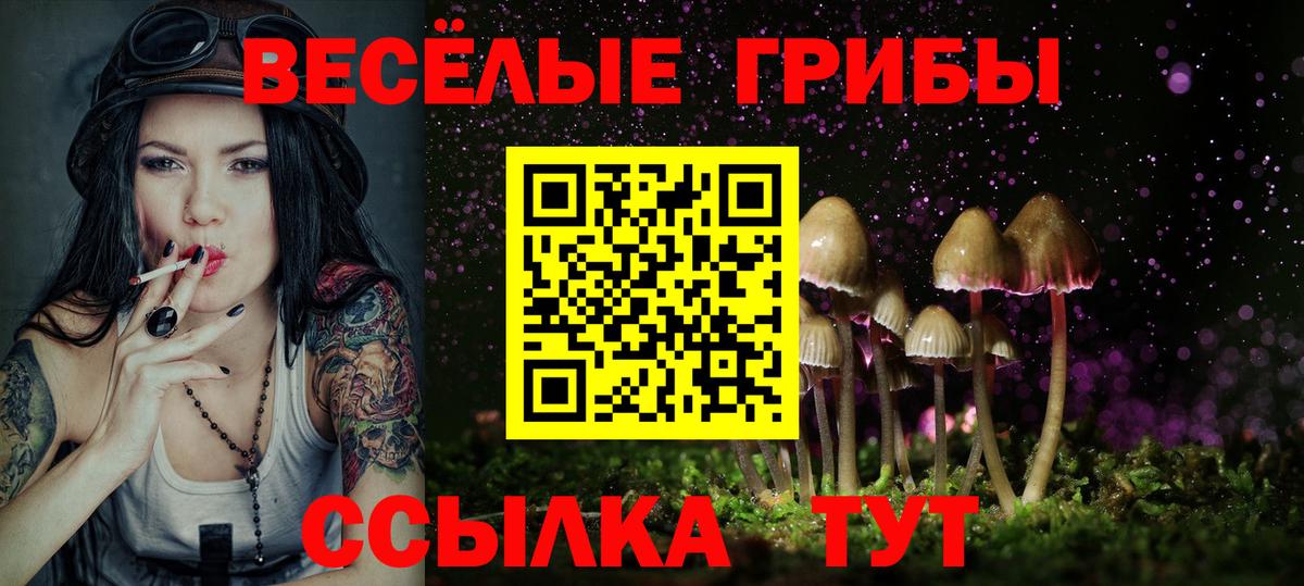 Псилоцибиновые грибы GOLDEN TEACHER  Псилоцибиновые грибы Magic Shrooms  Коряжма  Вход с VPN 